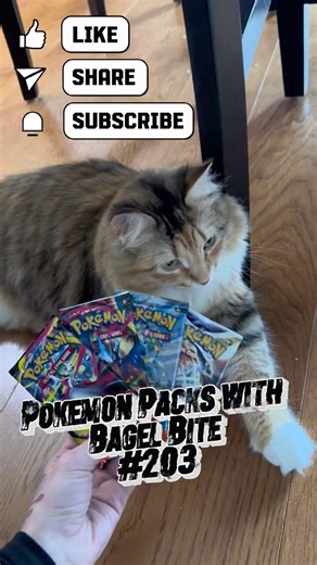 Pokemon Packs with Bagel Bite: Blessing or Burn No. 203 🌟 #pokemon