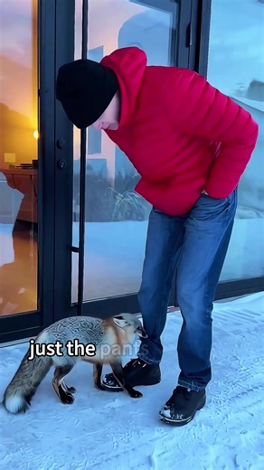 A fox came to seek help with its cubs, and then…#attificialintelligence #rescue #animals #AI Short Film