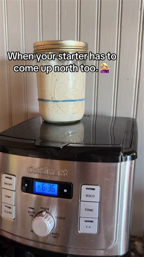 Rustic Roots Bakery House on TikTok