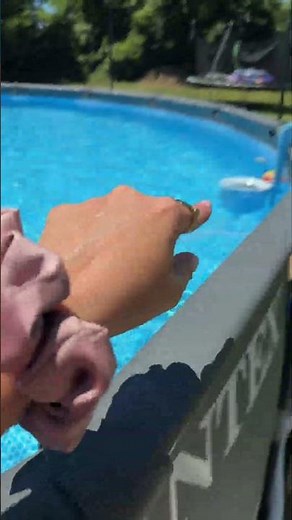 Ultimate Pool Upgrade: Vevor 1HP Sand Filter Pump for Above Ground Pools #PoolCare #SummerReady