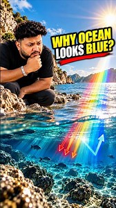 Why Is the Ocean Blue If Water Is Transparent? 🌊😳