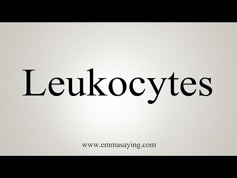 How To Say Leukocytes