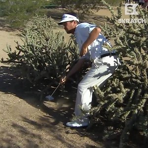 151K views · 755 reactions | The 5 rules of playing in the desert: 1. Avoid the cactus at all cost 2. Avoid the cactus at all cost 3. Avoid the cactus at all cost 4. Avoid the cactus at all cost 5. Avoid the cactus at ALL cost | Skratch | Facebook