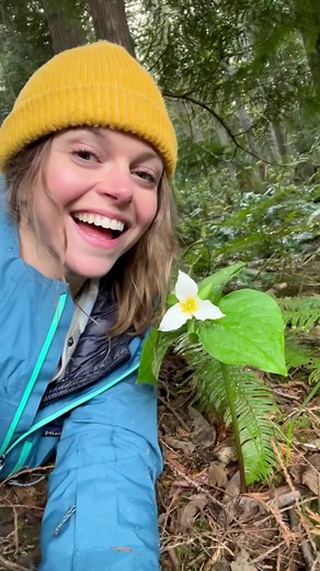 Exploring Western Trillium: Nature's Delicate Beauty