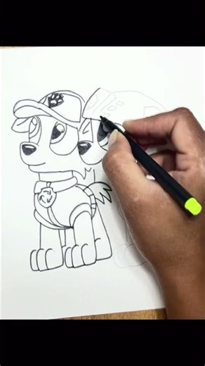 How to draw Zuma and Rocky - Paw Patrol || Easy drawing for kids