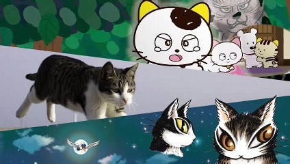 Cats Tail's Tales | movie | 2019 | Official Trailer