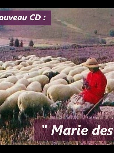 MARIE DES BRUYERES (extrait) - Pierre ANDRE Voici un nouvel extrait de mon nouveau CD, une de mes préférées de notre barde Limousin Jean SEGUREL : « MARIE DES BRUYERES »....avec pour moi pleins de souvenirs lorsque je joue et que je chante cette valse bien de chez nous. J'espère qu'elle vous plaira. https://www.pierreandre-siteofficiel.com/boutique-cd-dvd/ #limousin#traditions#pierreandre#jeansegurel#paysans#chansonfrançaise#folklore#accordeon#musette#auvergne#auvergnat#corrèze#chaumeil#orchestr