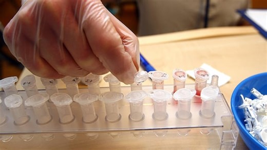 World Athletics just brought back genetic testing