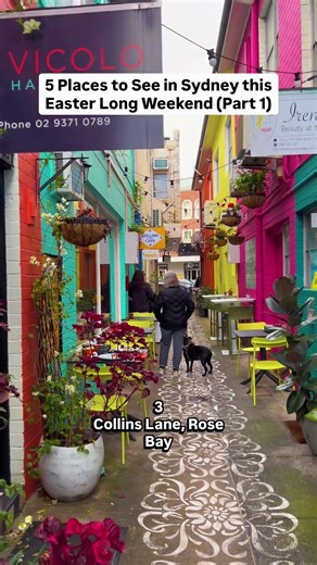 5 Places to See in Sydney Australia (Add to your bucket list)