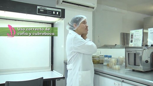 Aplicar las prácticas de higiene personal es primordial cuando manejamos los alimentos, hoy te explicamos el uso correcto de la cofia y el cubrebocas. | Sistema DIF Jalisco