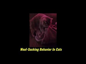 Roo sucking
