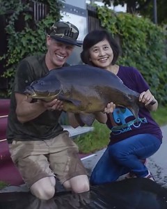 1.1M views · 6.5K reactions | Could you imagine a better place to catch an early morning brace of carp? ️ | Nash Tackle | Facebook