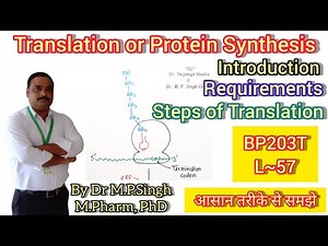 Translation or Protein Synthesis | Introduction | Requirement | Steps | Biochemistry | BP203T | L~57