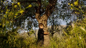 7.9K views · 462 reactions | The right to healthy environment is not...