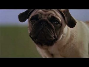 A Walk Outside Toonz Tribute