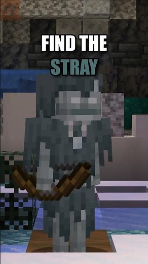 Find The STRAY in 5 Seconds! 🔍 | Minecraft