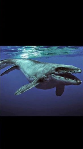 How Big Was the Mosasaur Really?
