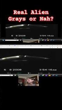 Real Alien Grays or Nah #reaction #alien