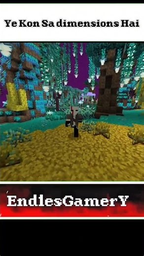 Agar Aap Pro Ho To Batao Ye Kon Sa Dimension Hai! 😱 #MinecraftShorts