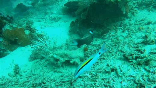 THESE ISLANDS HIDE ANCIENT SECRETS; (UFO or Alien Encounters?)