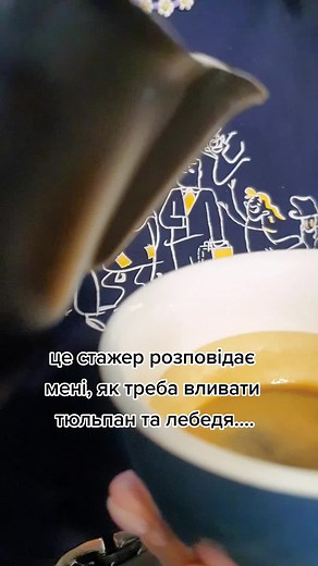 db.coffee на TikTok