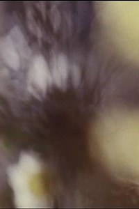 Gathering (2009) - Movie