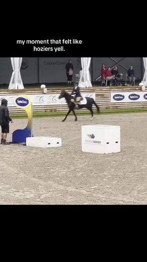 the moment i realized this lil pony could do it all🥲 #fyp