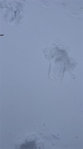 #viral #fyp #fun #snow #fy