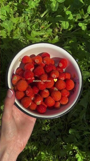тгк: ‘заметки сонечки’