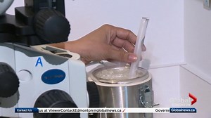 Why more women are freezing their eggs