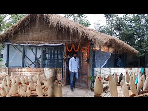 Bewitching Bird Breeding Farm In The Lap Of Nature/Attractive Java Finches Cockatiels Breeding Farm.