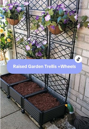 Affordable Mobile Raised Garden Trellis Options