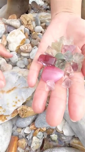 5.9K views · 46 reactions | #stons #old #pearls #hunting | sea animals | Facebook