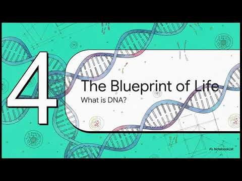 How The Body Works