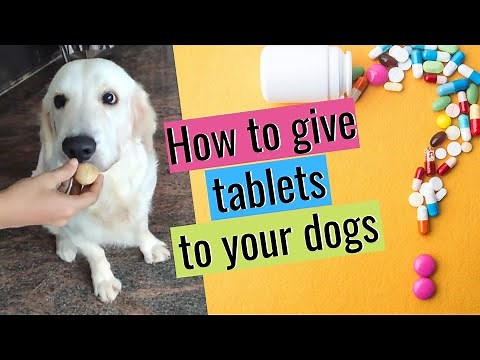 How to Give Tablets to your Dogs in a easy way