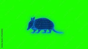 4k green screen Armadillo technology video. Armadillo technology video, Armadillo 360 turn, Armadillo wireframe video