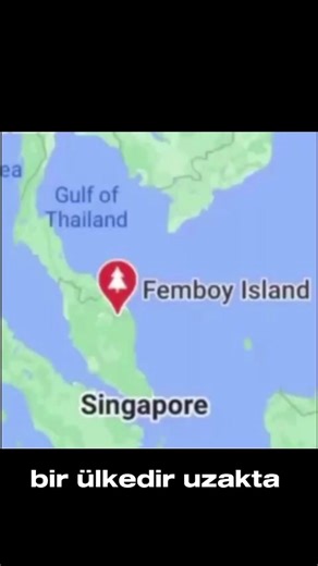 Femboy Kültürü ve Türkiye'deki Yansımaları