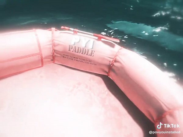 Pov You Installed on TikTok