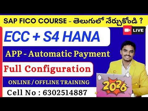 Complete Automatic Payment Program Configuration in SAP FICO S/4HANA – Telugu
