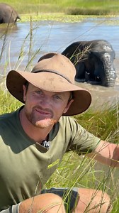 MAK - The biggest elephant on the planet! 🪐🐘 | Reilly Travers