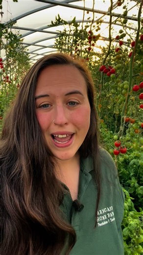 25 reactions | Find us at @producersofangusmarkets tomorrow at Forfar Community Campus from 10am-2pm!  | Arngask Farm | Facebook