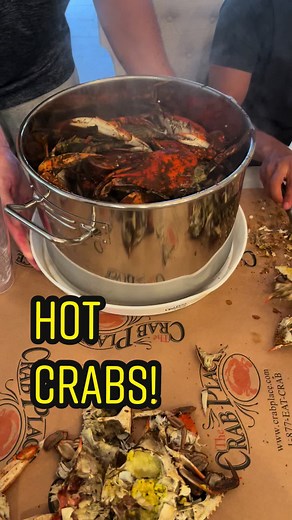 Order our Maryland blue crabs online for delivery all over the country at www.crabplace.com