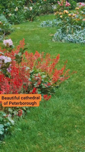 #peterbrough #uk