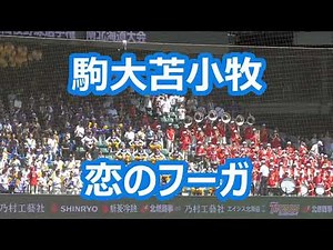 駒大苫小牧「恋のフーガ」 (2026年版)