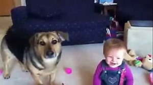 Baby laughing at dog playing with bubbles!! #AngryBruger | Angry Bruger