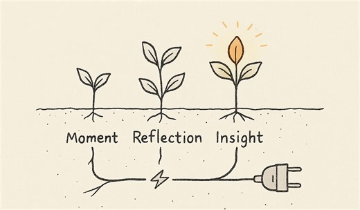 If Your Notes Feel Like a Graveyard, Watch This