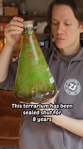 This terrarium has been sealed shut for 8 years 😲 | Worcester Terrariums