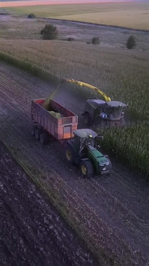 Feed Created in Fresh Light #jdsilage | AgroViews