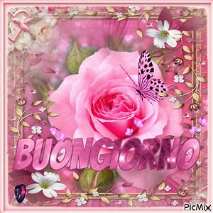 https://www.picmix.com/pic/Fly-9535716 | PicMix