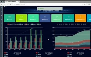 vue asp.net core sqlserver数据显示系统